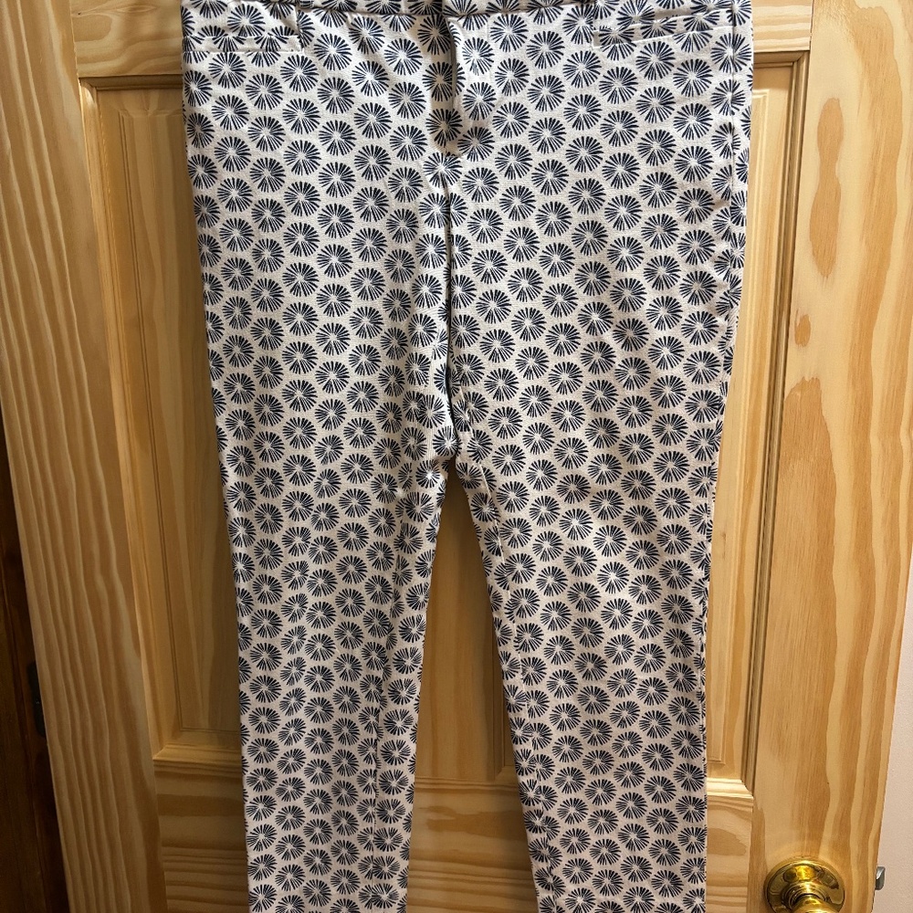 Banana Republic Sloan Capri Pants.